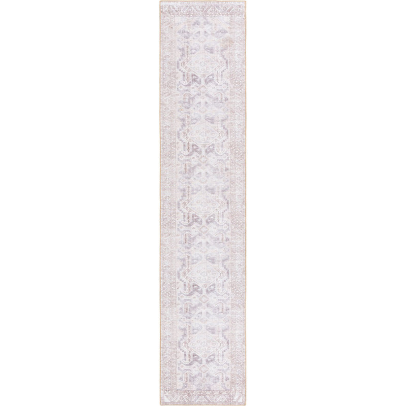 Mcclamma Chenille Oriental Indoor Rug, Runner 2'6" x 12'