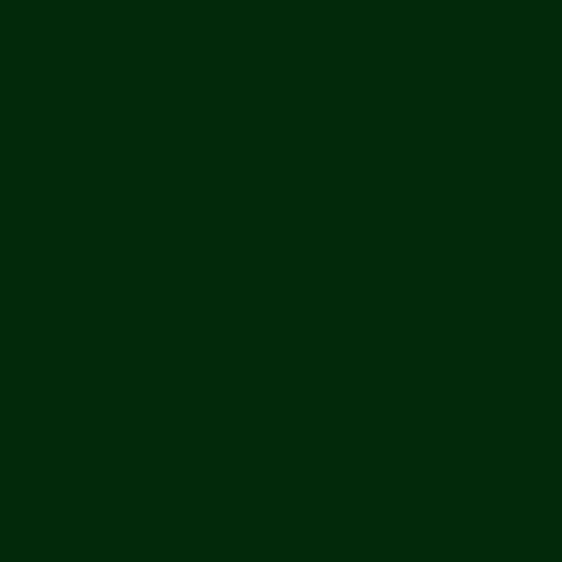 Coussin de chaise Adirondack d'extérieur, Vert forêt