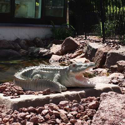 Statue de jardin en alligator résistante aux intempéries 18 po Gattis