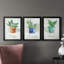 Basilic en pot - ensemble de 3 peintures sur toile encadrées-1187249458-1187249459