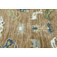 Tapis unique brun caramel 8 pi 5 po x 9 pi 8 po Kessinger