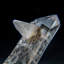Genuine Clear Quartz Crystal Cluster Point from Brazil (3.2 Lbs)
