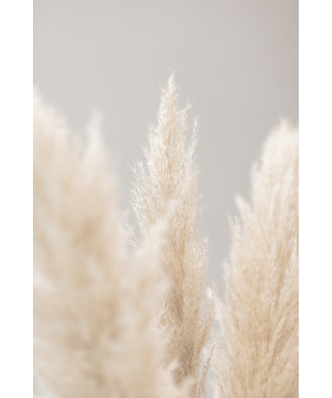 Wrapped Canvas Print, 50.8cm H x 76.2cm W