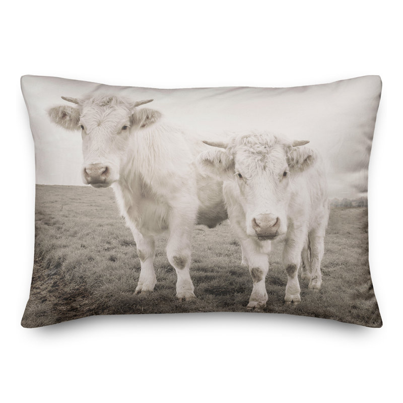 Coussin intérieur / extérieur, H 14 po x l 20 po, Rectangle