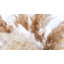 20 pièces Boho Decor, pelucheux herbe de Pompas, herbe de Pampas naturelle sèche petite, courte vrac Pampass pour Boho Room Decor, décoration de table basse (17 pouces)