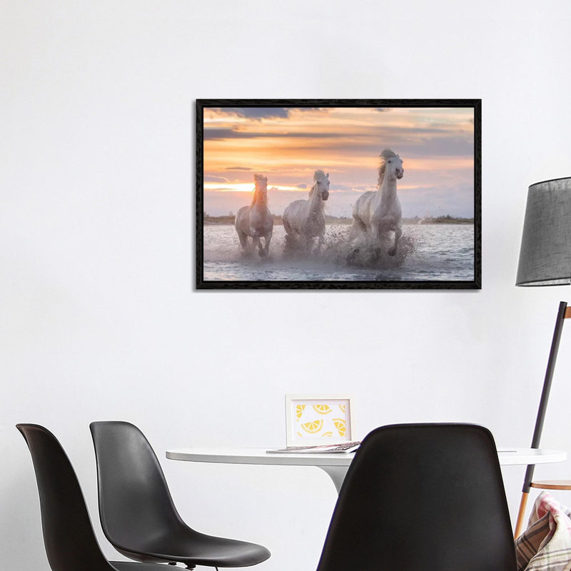 White Angels Of Camargue XXXII by Daniel Kordan - Print on Canvas, Black Framed, 101.6 cm H x 66.04 cm W