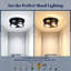 2 - Light Pendant