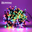 2590cm LED Twinkle Indoor / Outdoor String Lights-78497480