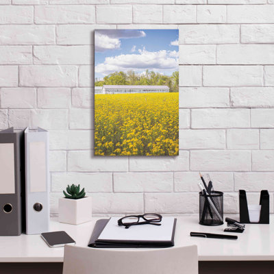 «Field Of Yellow I» par Donnie Quillen, estampe numérique sur toile