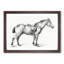Horse with a Saddle by Jean Bernard - Framed Print-55579129-55579126