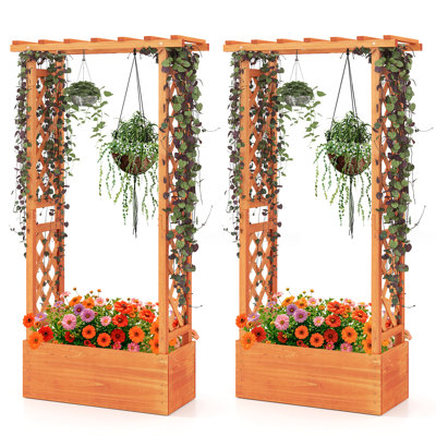Lit de jardin surélevé avec treillis 2 pièces