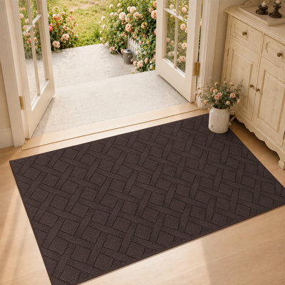 Dioselina Non-Slip Indoor Doormat