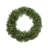 Pre-Lit Northern Pine LED Artificial Christmas Wreath - 48-Inch Warm White Lights