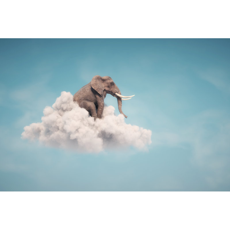 When I See An Elephant Fly by Donyanedomam - Wrapped Canvas Print, 30cm H x 46cm W x 3.8cm D