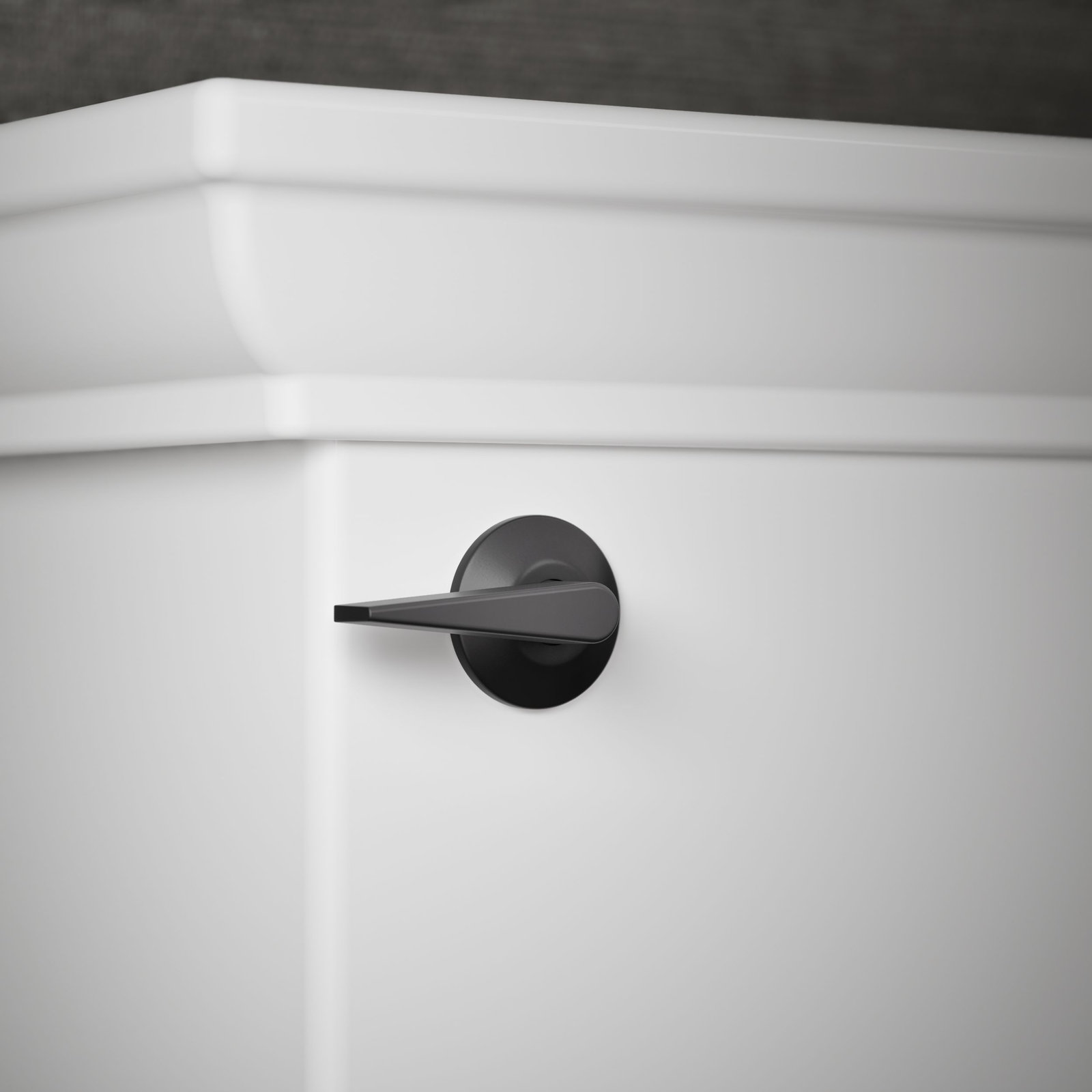 Santa Rosa Toilet Trip Lever, Left Hand, Matte Black
