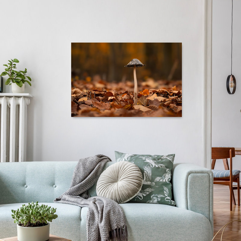 Forêt d'automne, champignons, bio, abstrait, paisible, affiche murale, 24" H x 36" W