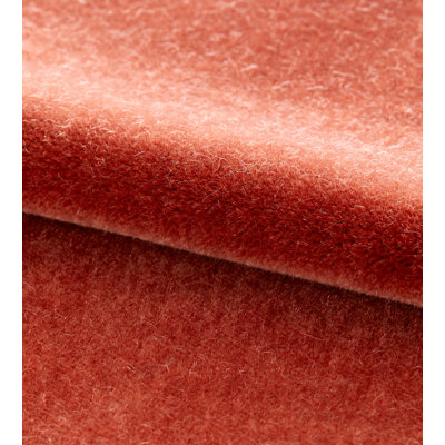 Essential Velvets Fabric