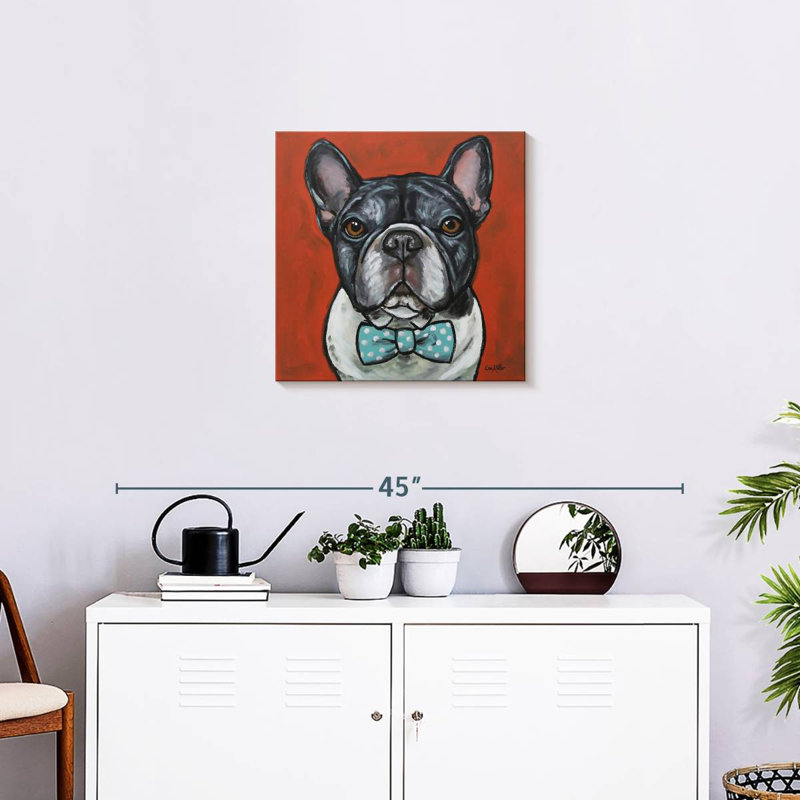 Crowle Frenchie Louie