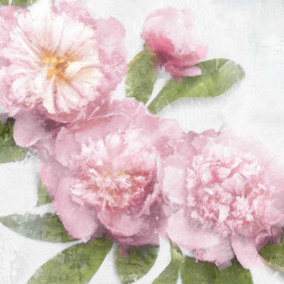 Motif floral rose 5