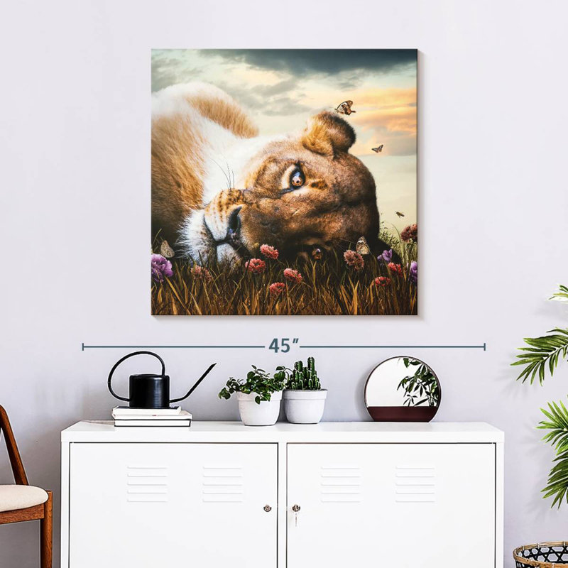 Lionne Brampt II, H 30 po x l 30 po