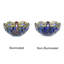 Applique murale 1 lumière style libellule Tiffany Bloomsbury Market Nuccio-2058485005