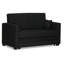 Ash Hill 2 Seater Sofa Bed-22906702