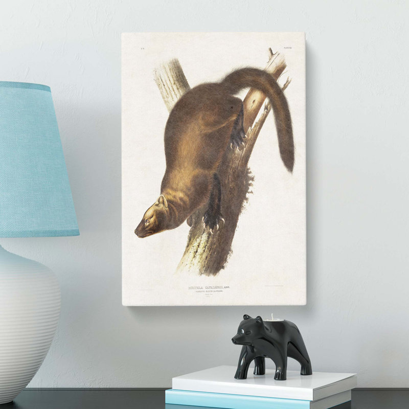 Marten by J.W. Audubon - Wrapped Canvas, 76cm H x 50cm W x 3cm D