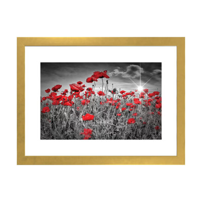 " Idyllic Field Of Poppies With Sun " by Melanie Viola
