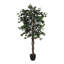 180cm Faux Banyan Tree in Freestanding