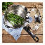 Vista Stainless Steel Saucepan with Lid-39723594