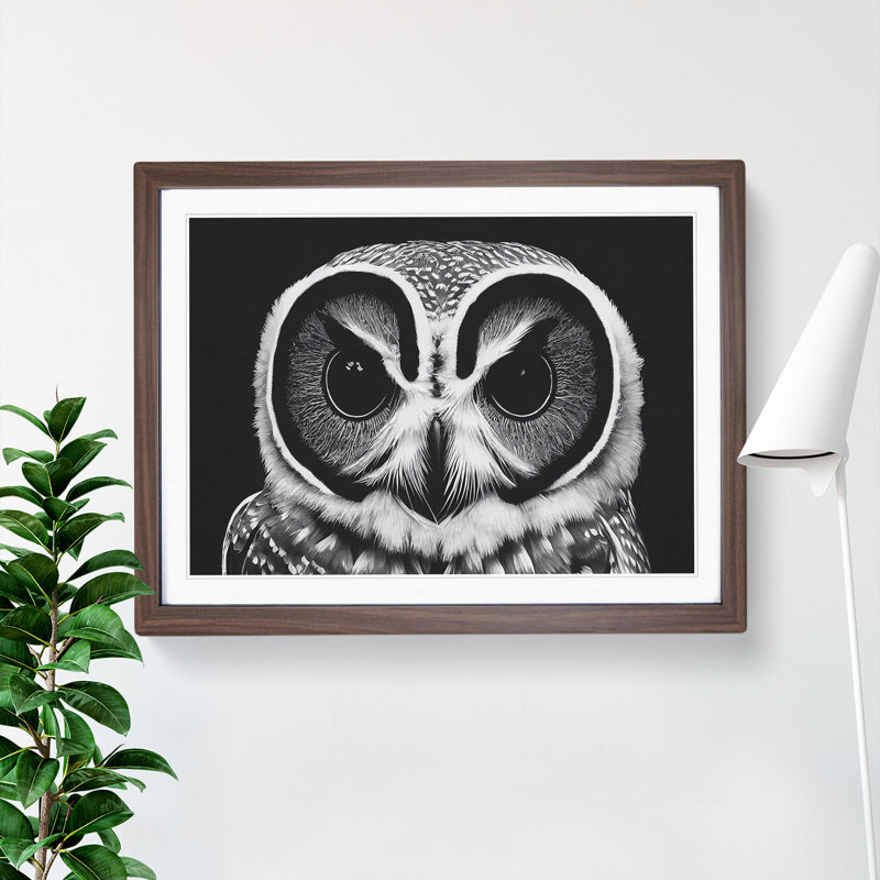 Timeless Owl - Single Picture Frame Print, 46cm H x 64cm W x 2cm D, Walnut Framed