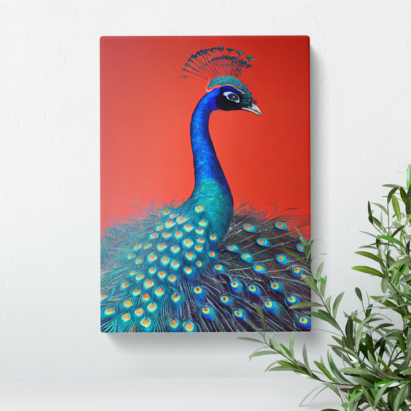Extraordinary Peacock - Wrapped Canvas, 76cm H x 50cm W x 3cm D