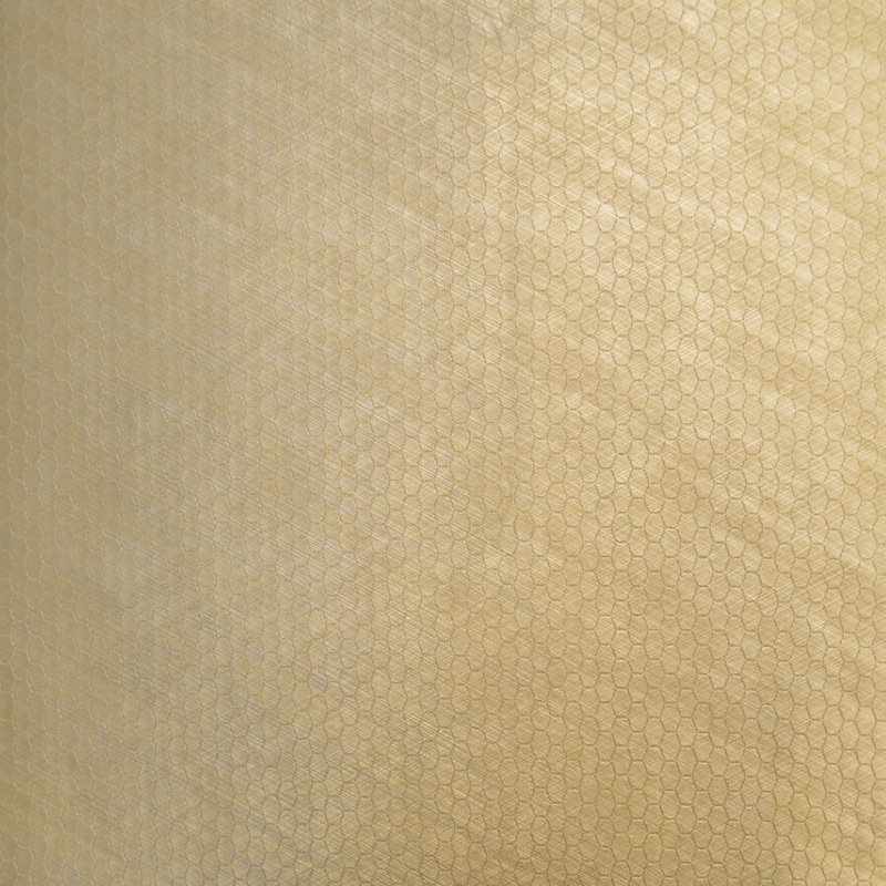 Tissu de colon