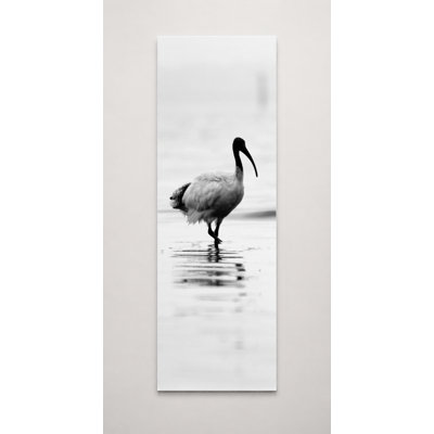 Art mural sur toile ibis Wading in Still Water