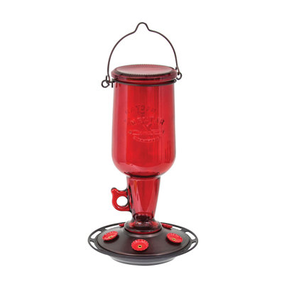 Mangeoire à colibri en verre Jug Unique