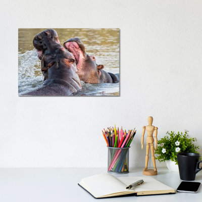 Hippos 1 Piece Wrapped Canvas Wall Art