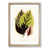 Oak Framed selected