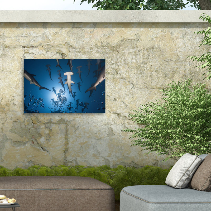 Canvas Animals Wall Decor, 16'' H x 24'' W