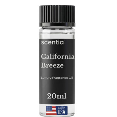 Huile de diffuseur Scentia Resort inspirée du parfum Delano Beach Club Resort - 20 ml 0,67 oz liq. - Mélange d'huiles essentielles orange, thé vert et jasmin pour diffuseurs d'aromathérapie - brise de Californie