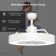 Lafleur 23'' Ceiling Fan with LED Lights