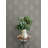 Frond Charcoal Leaf Wallpaper-2089296500