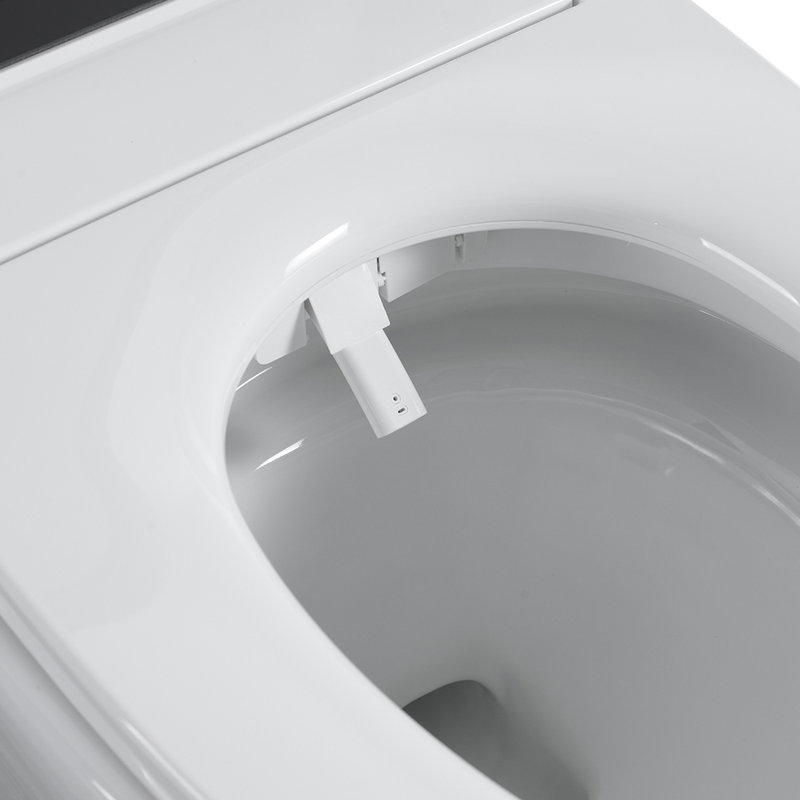 Smart One-Piece Toilet with Bidet, Heated Seat, Auto Flush, LED Night Light & Digital Display, Modern Elongated Comfort Height Toilet