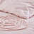 Betsey Johnson Rambling Rose Cotton Pink Duvet Cover Bonus Set-63310888