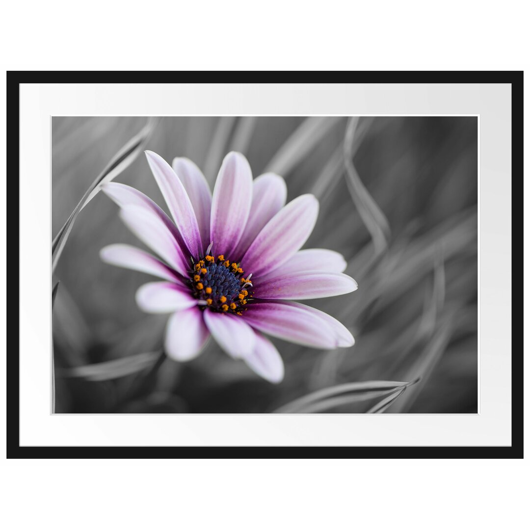 Gerahmtes Poster Blume in der Natur