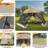 12 Person Tent
