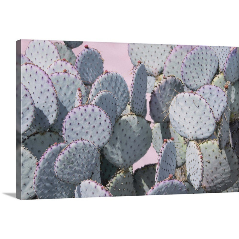 « Pink Crush VIII » par Elizabeth Urquhart-reproduction de photo sur toile, Toile tendue, H 24 po x l 36 po x P 1,25 po