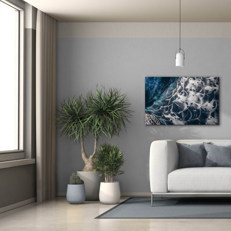 Epic Graffiti 'Peacock Study 1 Horizontal'  by Nathan Larson Canvas Wall Art, 40" x 26"
