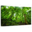 Jungle Alvord Basse-Terre-111839386