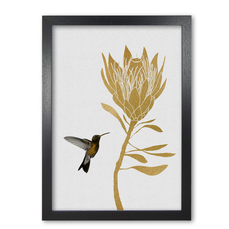 Hummingbird & Flower I - Print, 60 cm H x 42 cm W x 5 cm D, Black Grain Frame