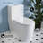 Liberte One-Piece Elongated Toilet Dual-Flush 1.1/1.6 gpf